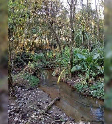 Natureza, trilhas, quiosque e redário